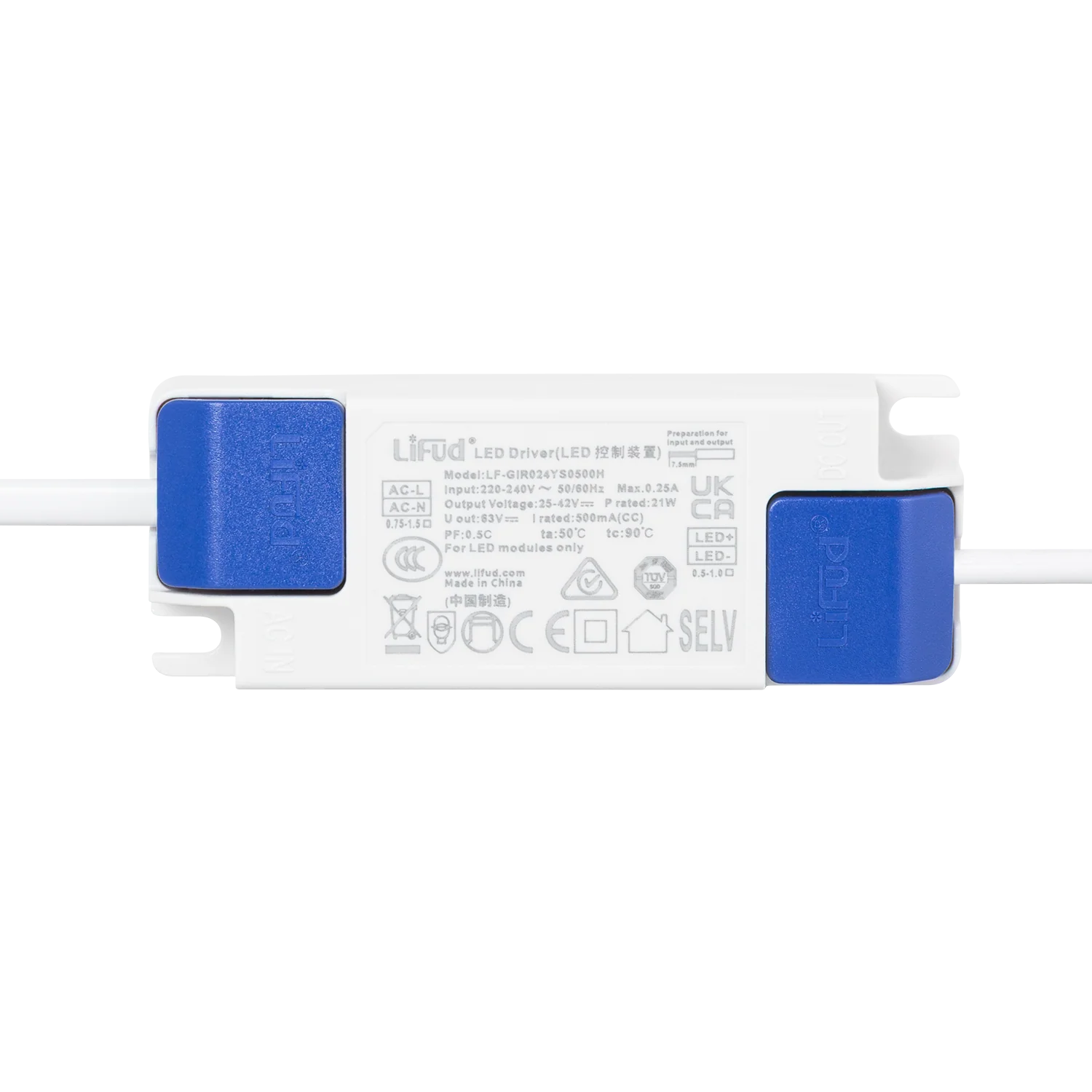 Miniatura 6