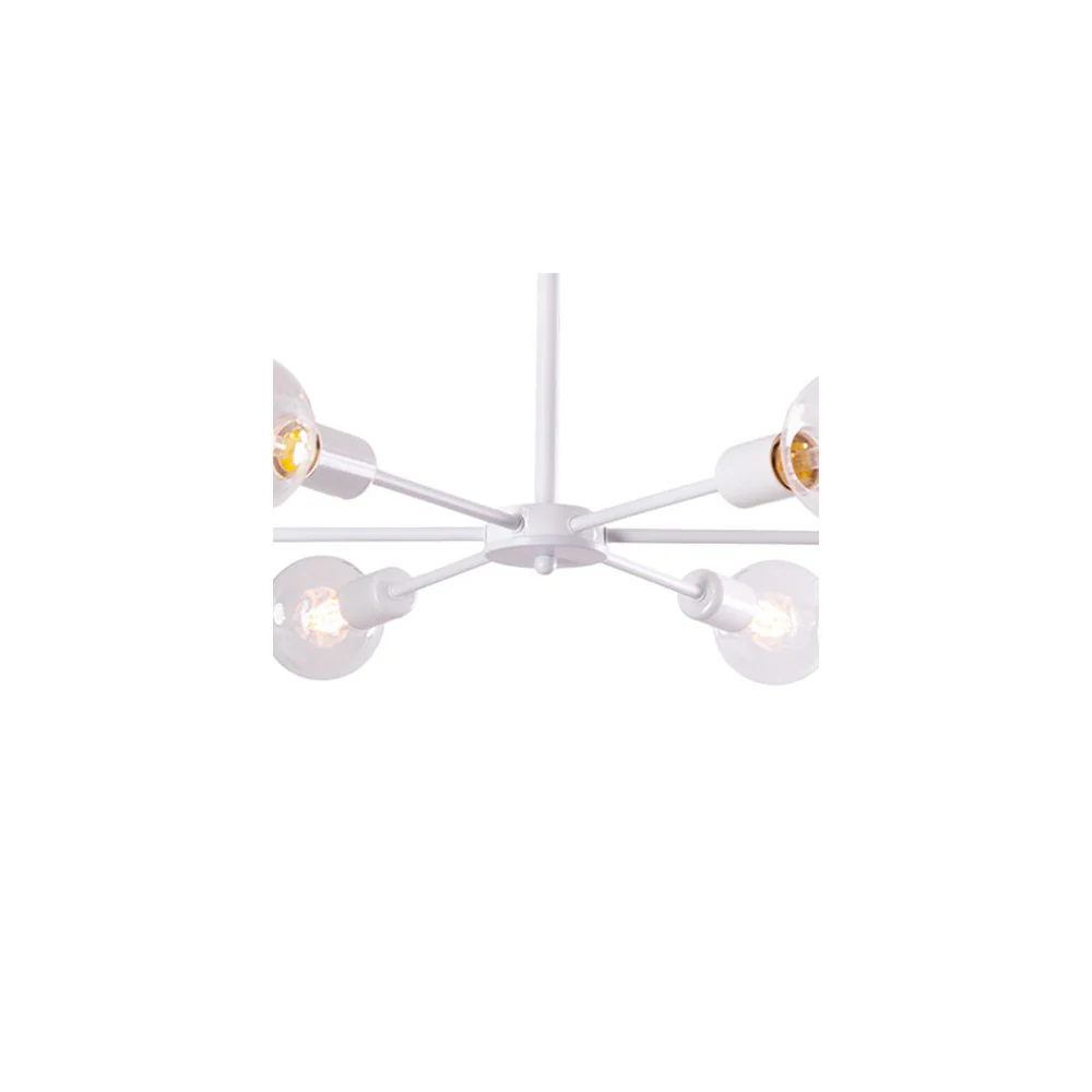 Miniatura 24