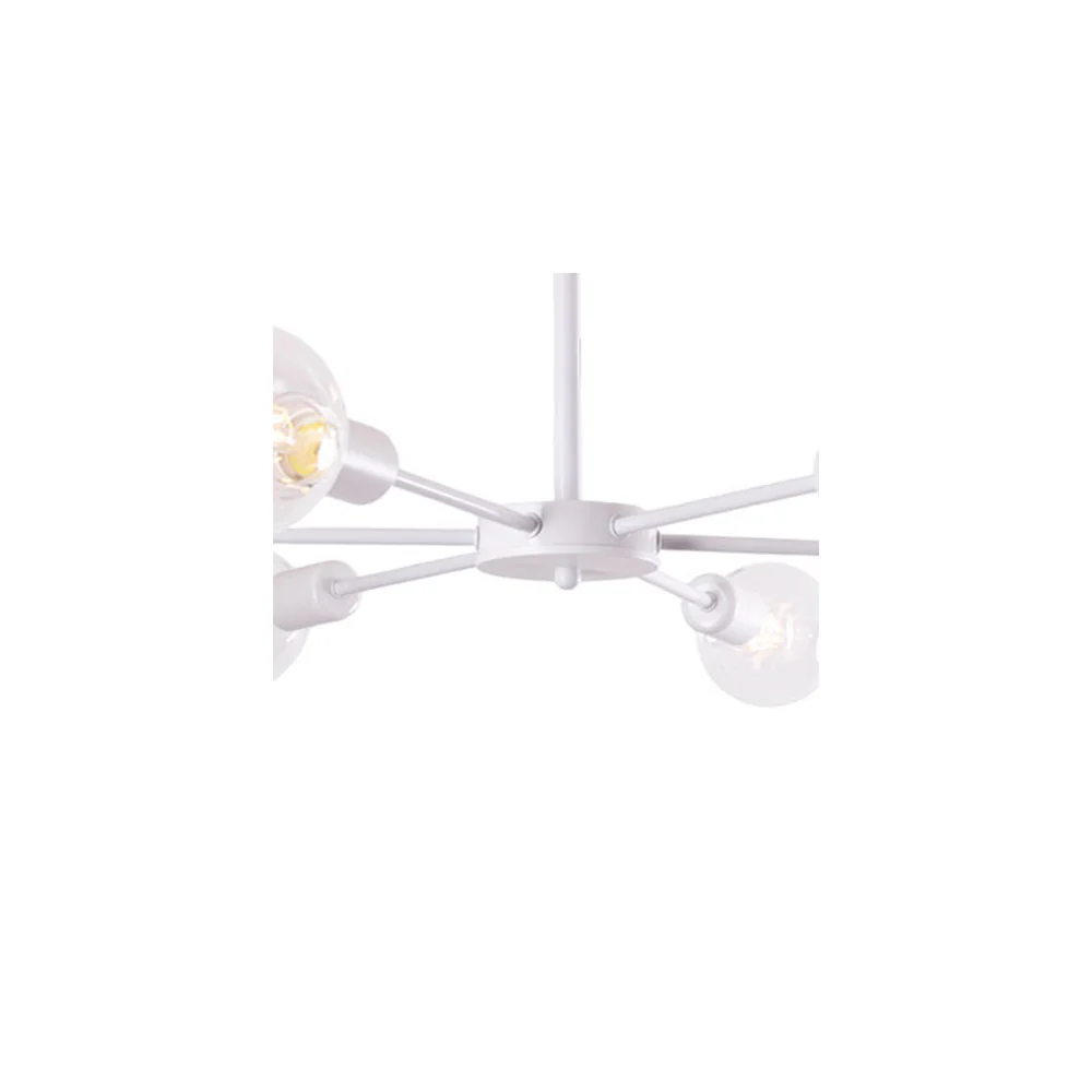 Miniatura 24